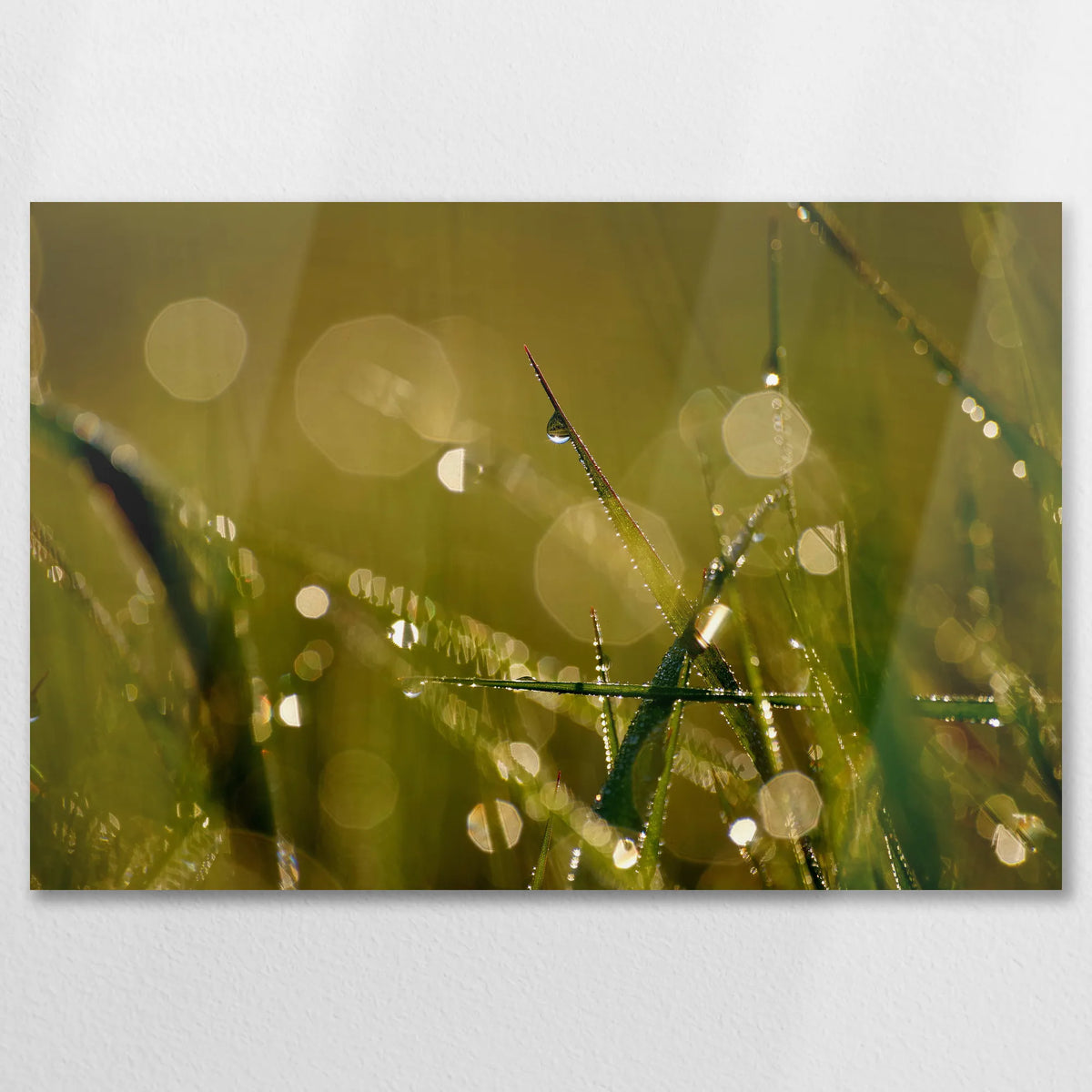 AL-090W060