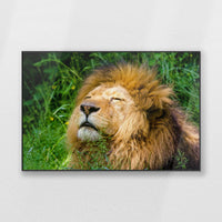 PB-120W080