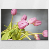 LW-075W050