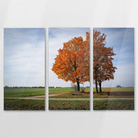 AC-120R080