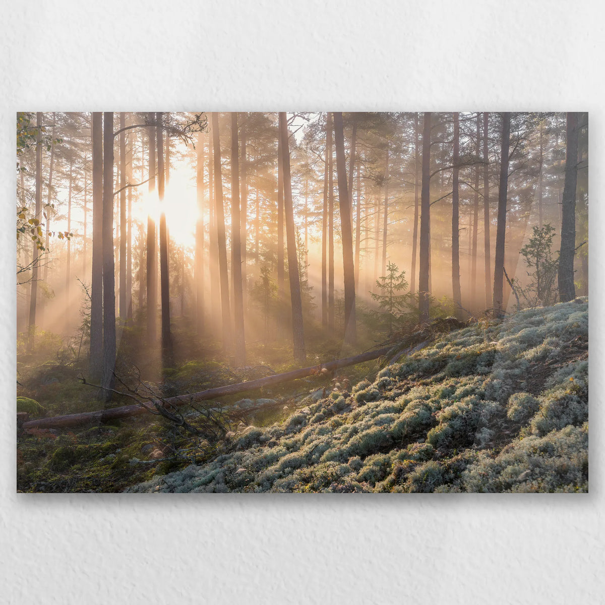 AC-060W040
