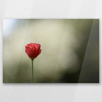 AC-030W020