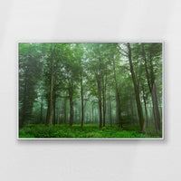 PS-093W062