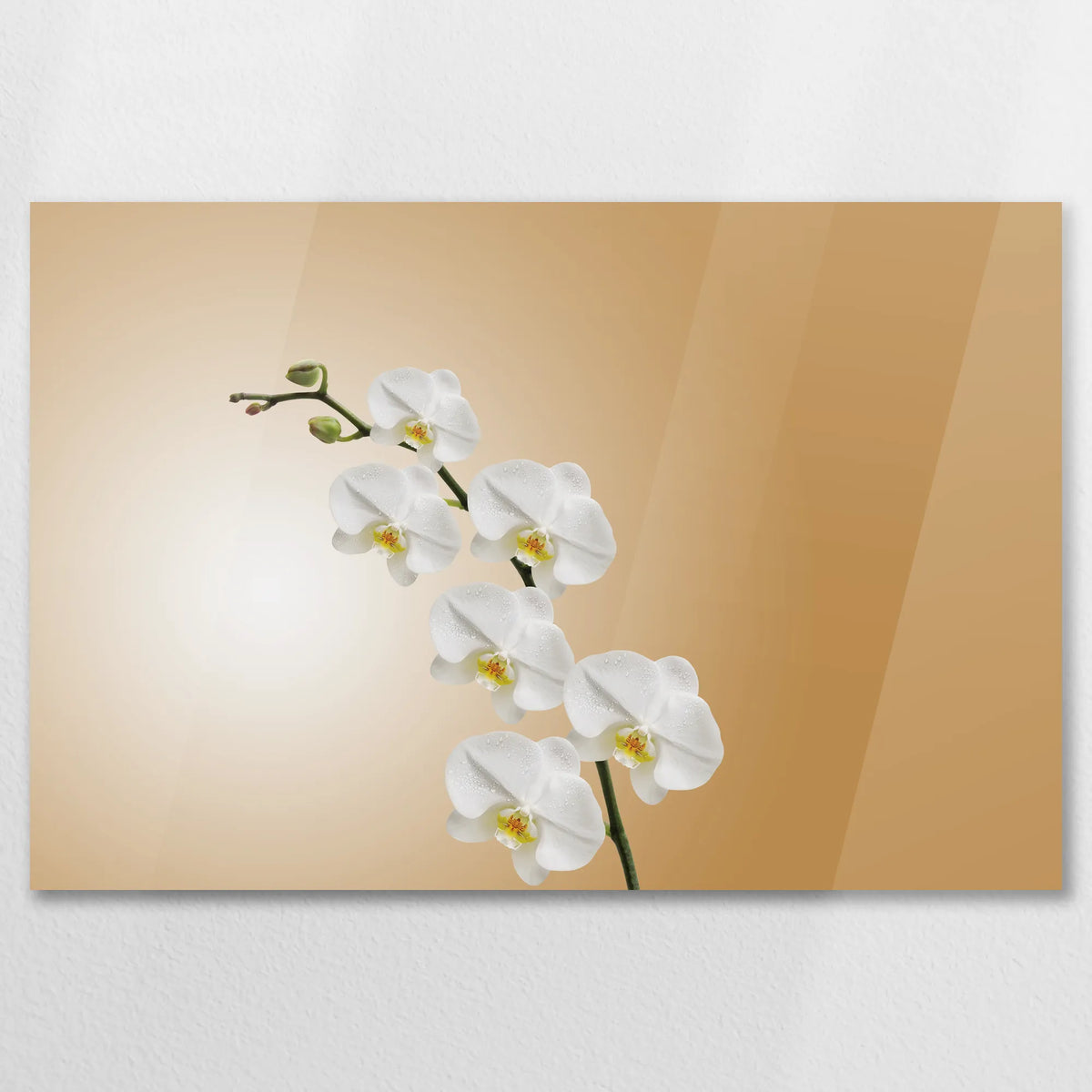 AC-075W050