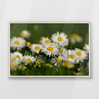 PN-093W062