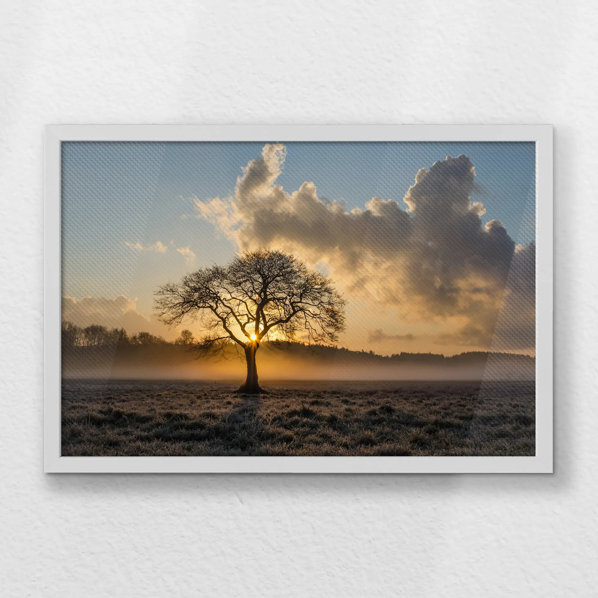 LWW060W040