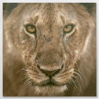 AL-090W090