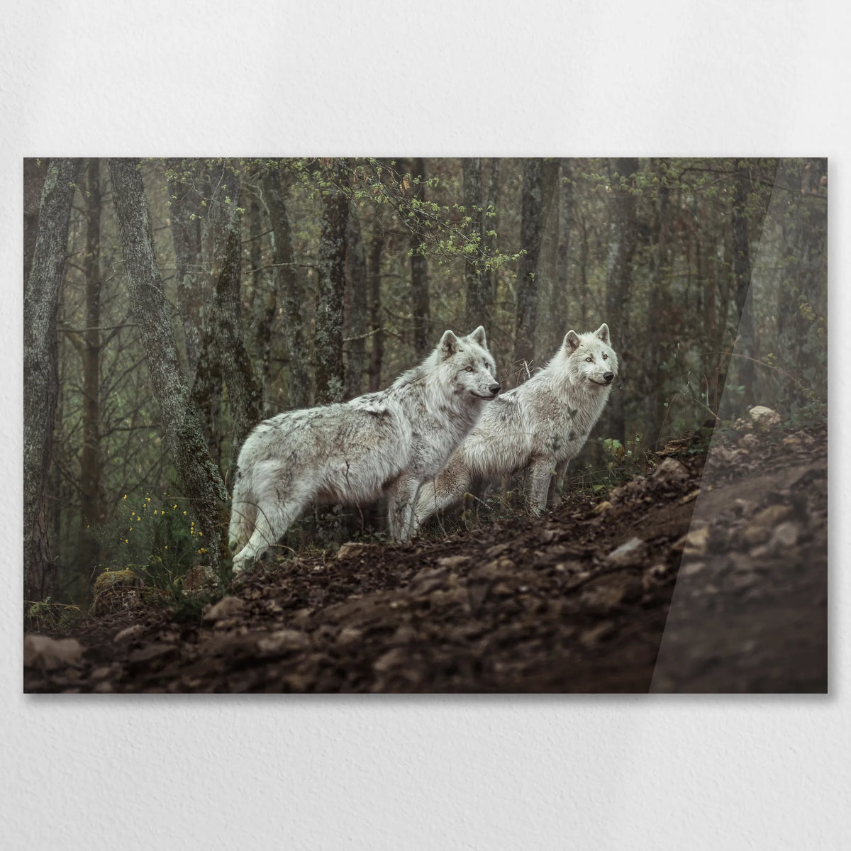 AC-090W060