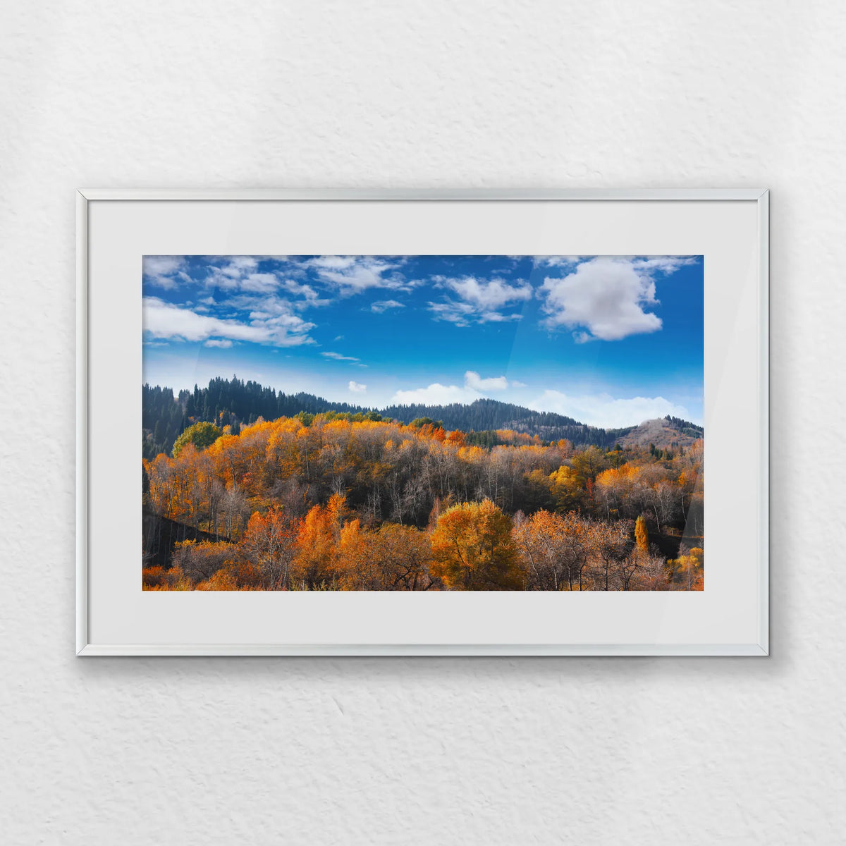 PSP060W040
