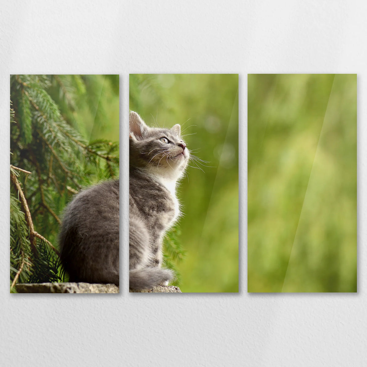 AC-150R100
