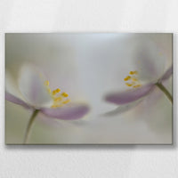 LW-045W030