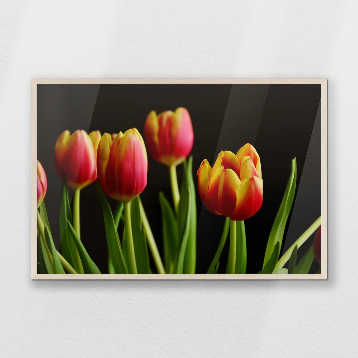 PN-093W062