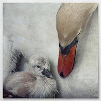 AC-070W070