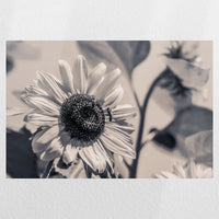 PO-045W030