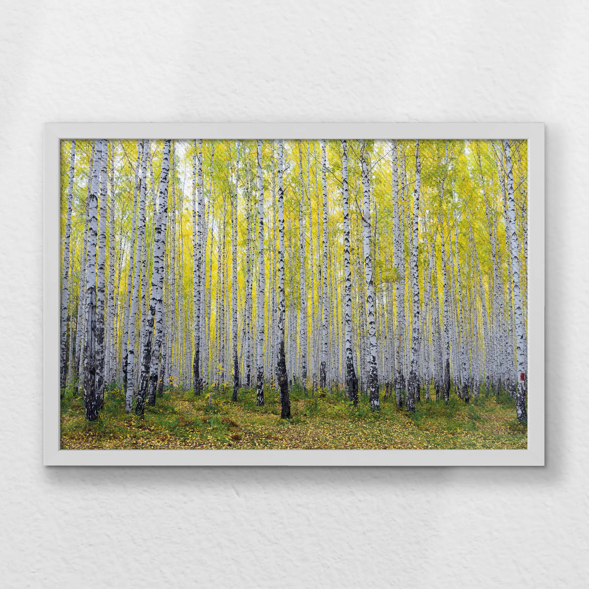LWW060W040