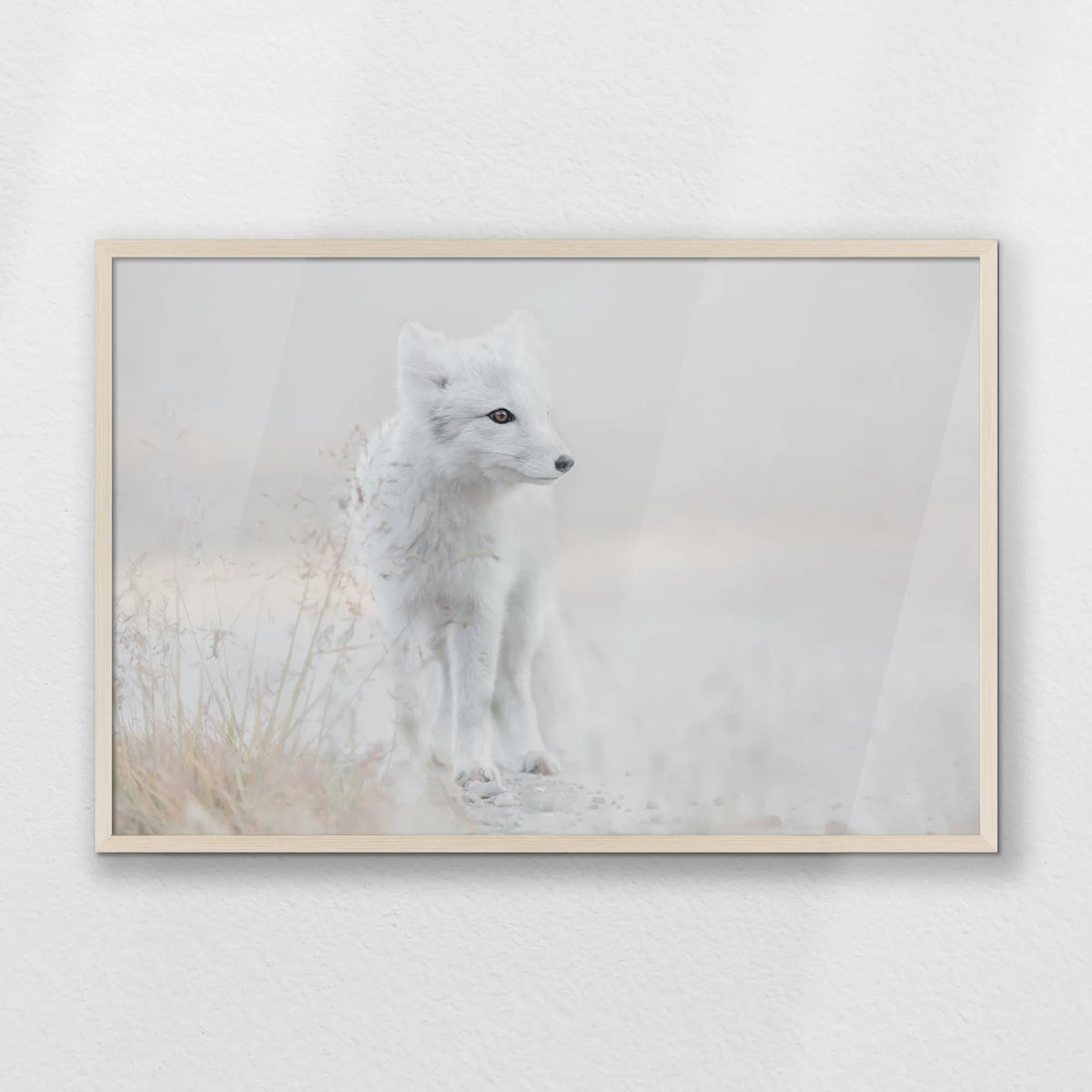 PN-093W062