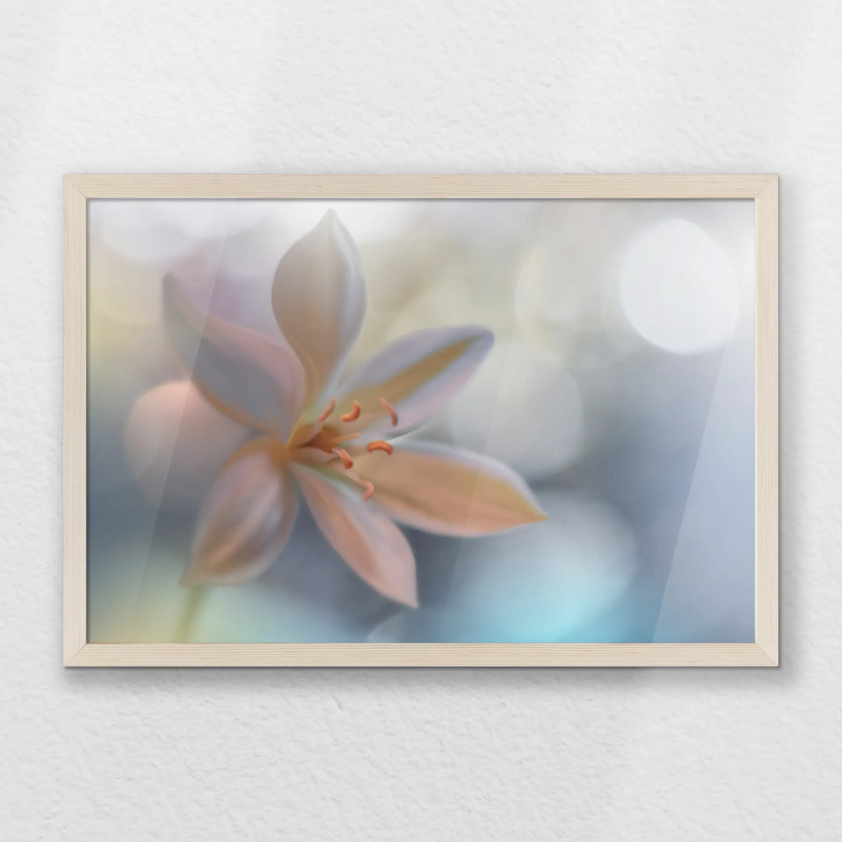 PN-060W040