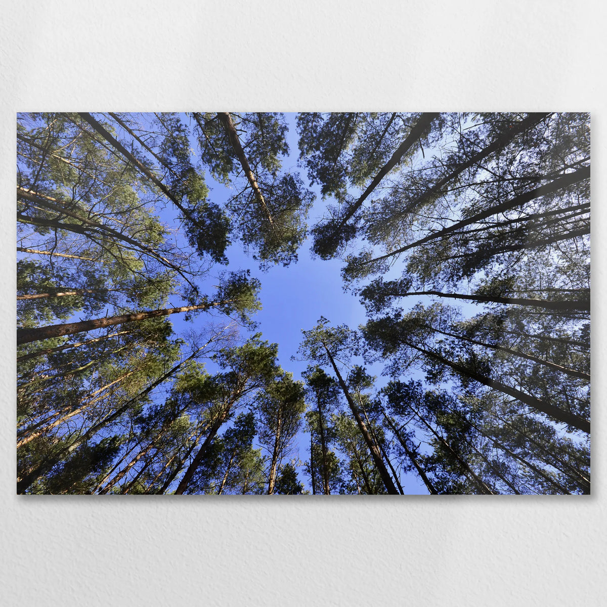 AL-090W060