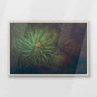 PN-093W062