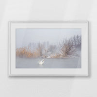 PWP093W062