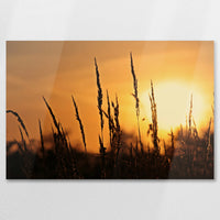 AL-090W060