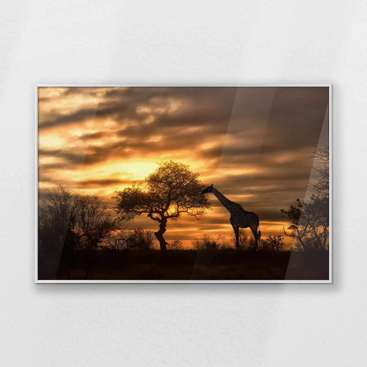 PS-093W062