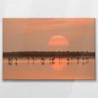 LW-075W050