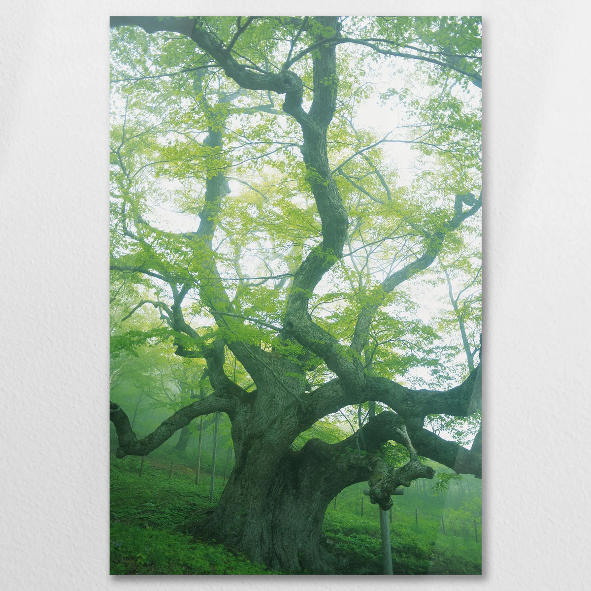 AC-080W120