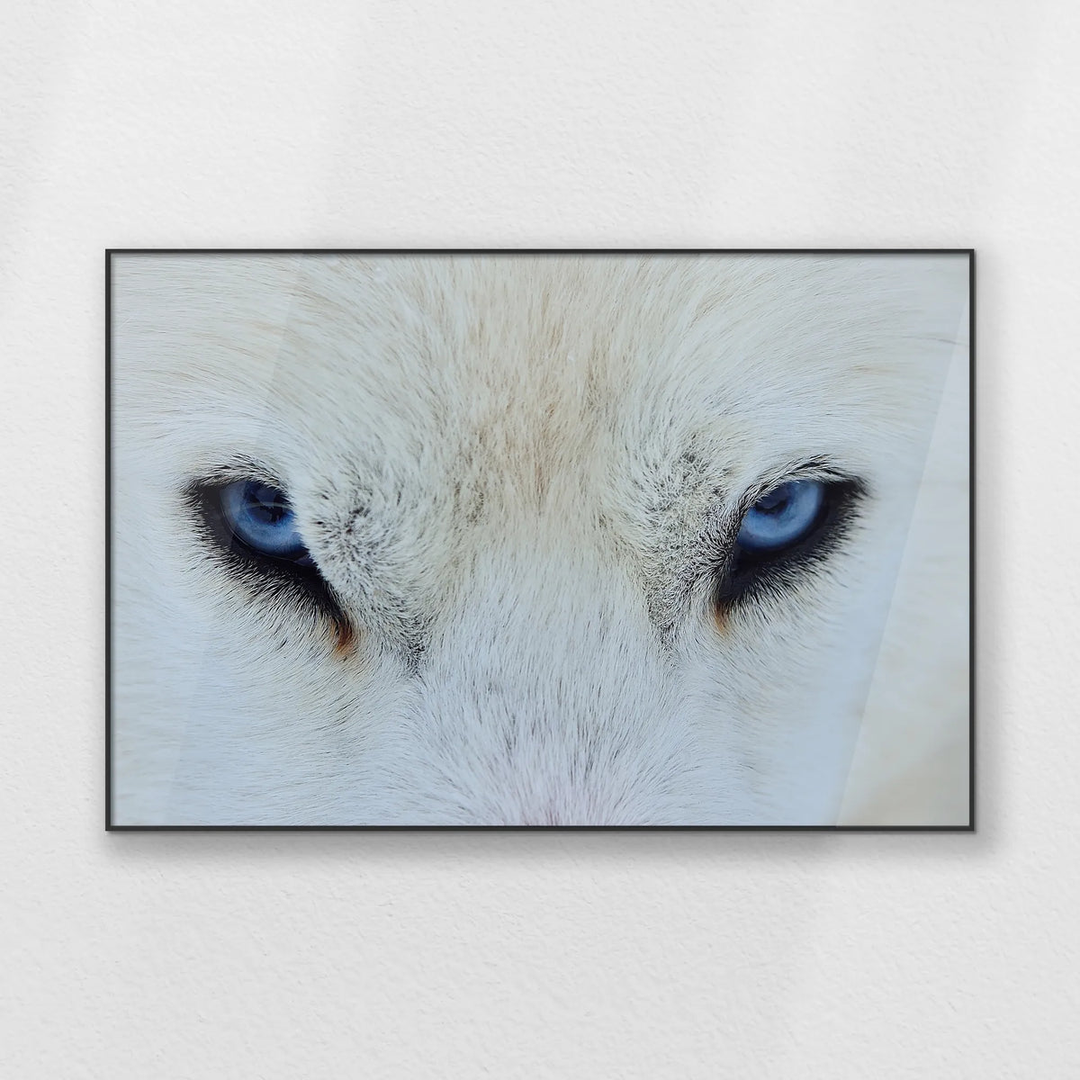 PB-120W080