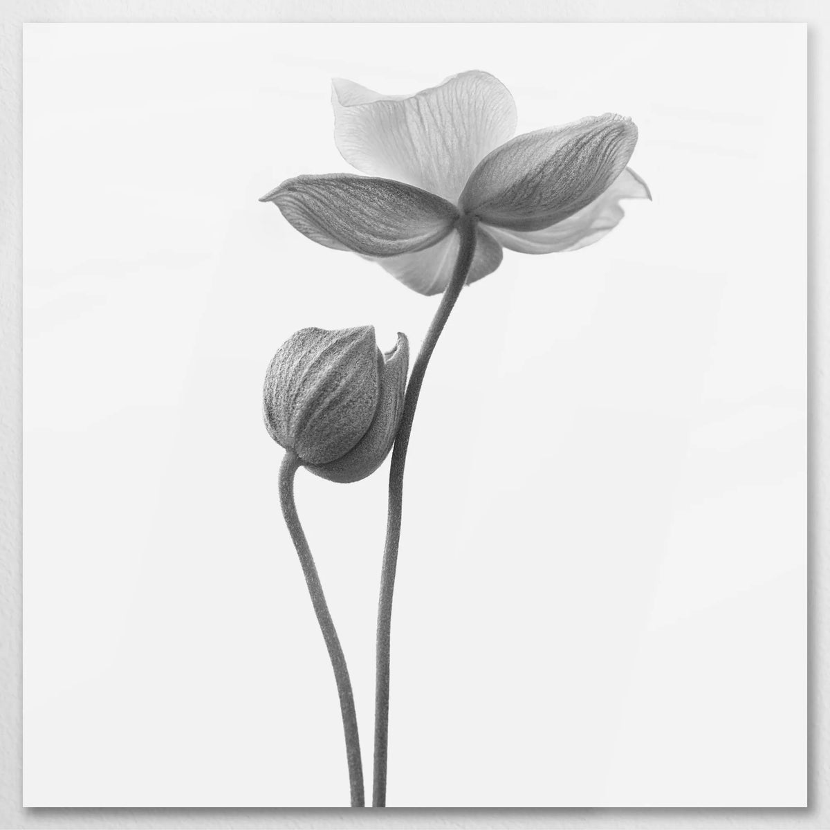AL-090W090