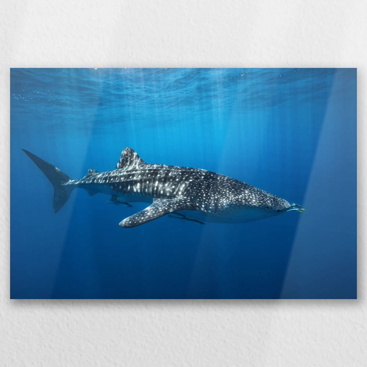 AL-060W040