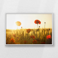 LWW100W070