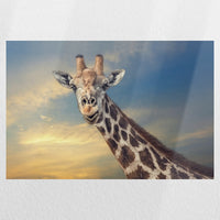 PO-045W030