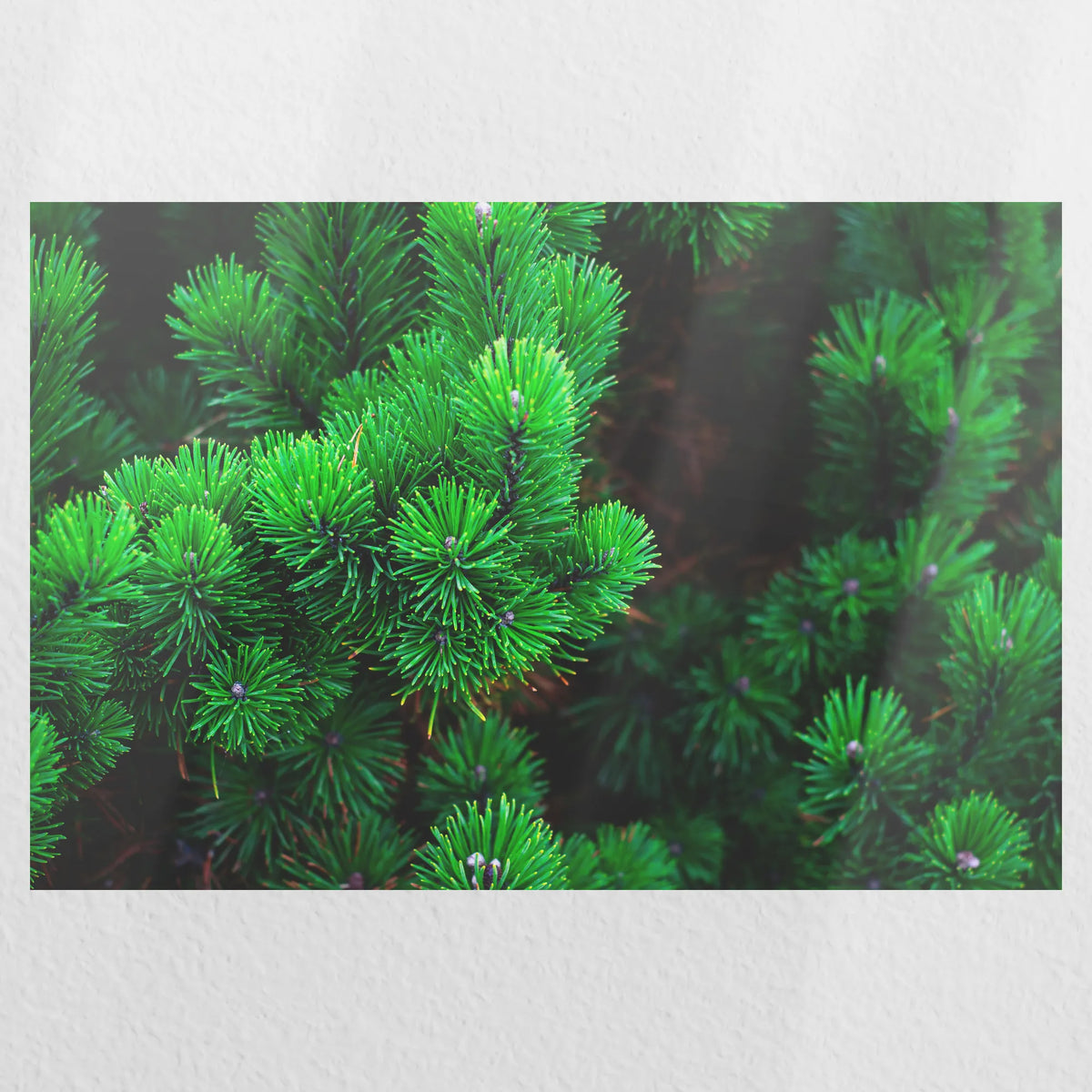 PO-030W020