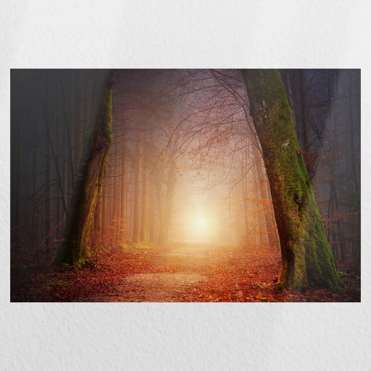 PO-045W030