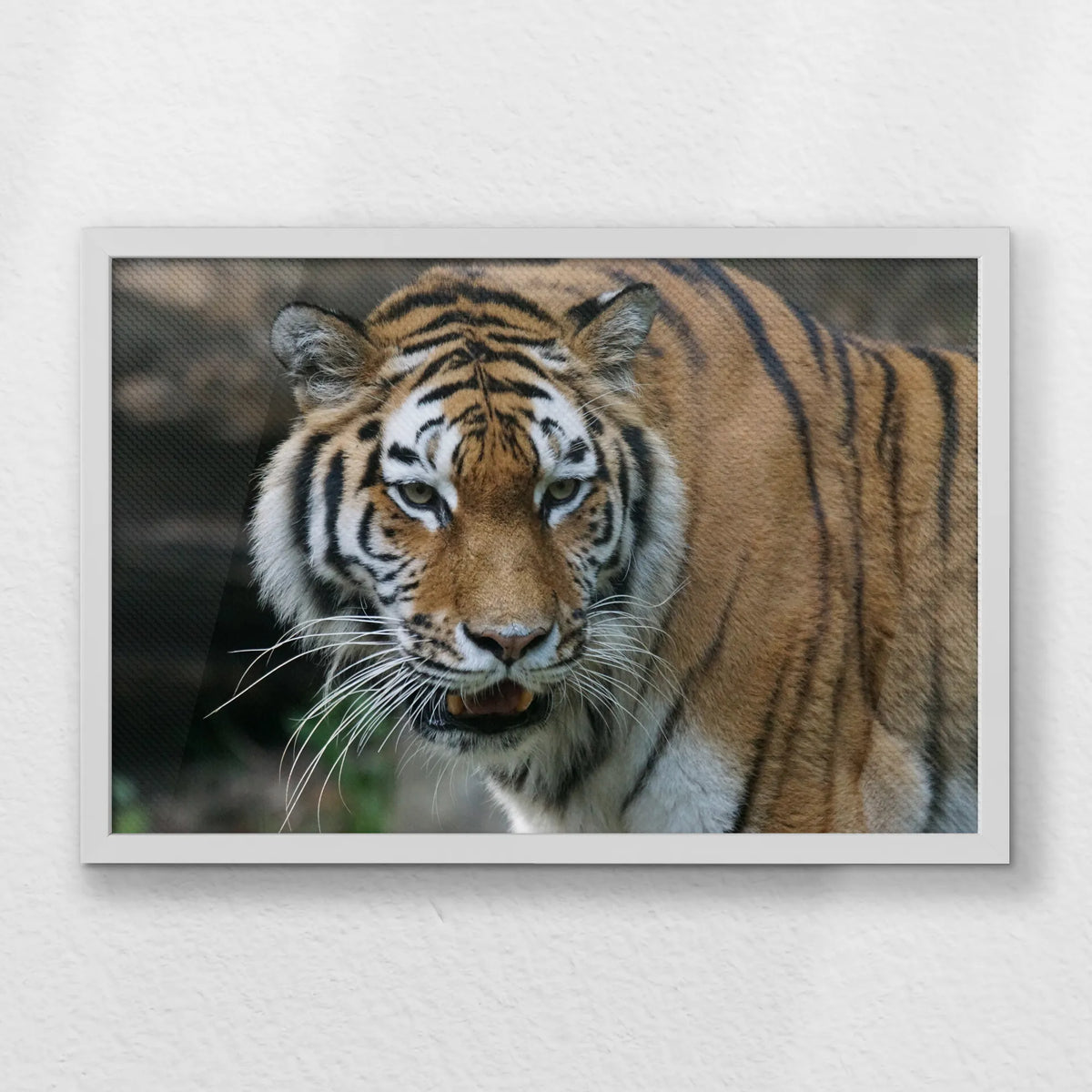 LWW060W040