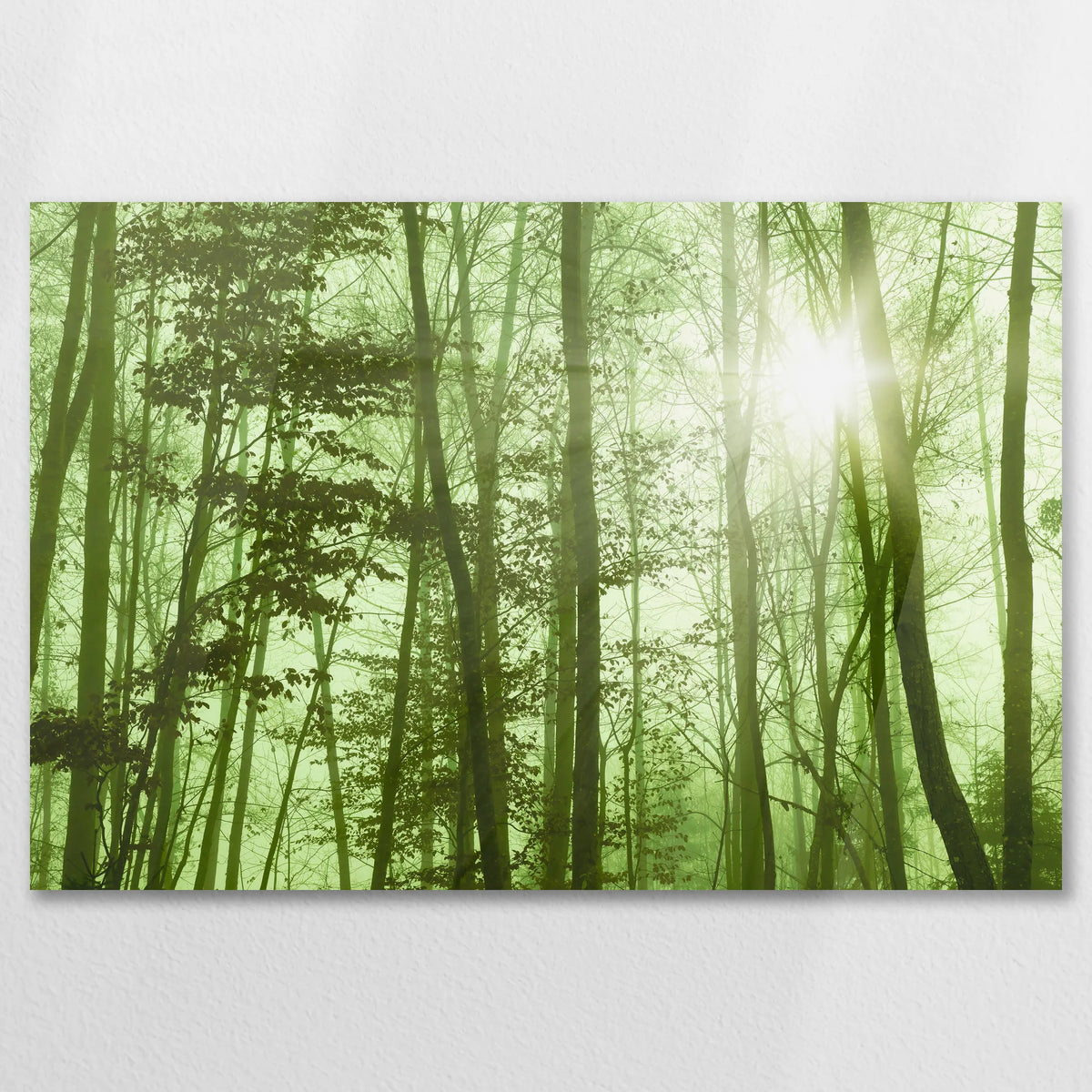 AC-075W050