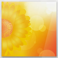 AC-060W060