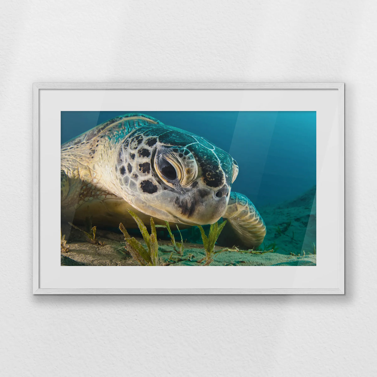 PWP093W062