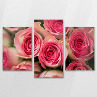 AL-120T080