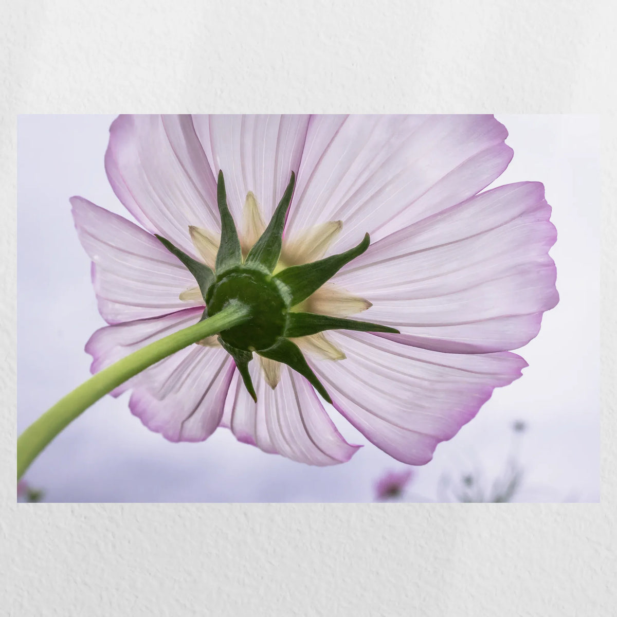 PO-060W040