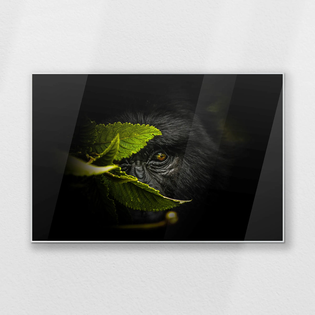 PS-120W080