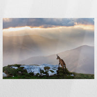 PO-045W030