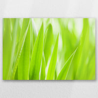 AC-060W040