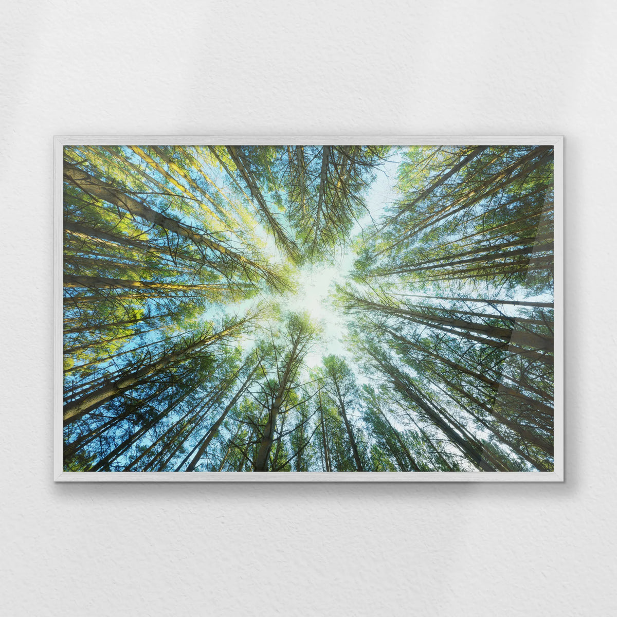 PW-093W062