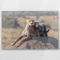 AC-060W040
