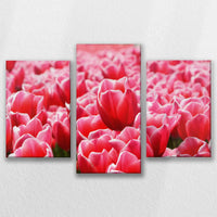 LW-090T060