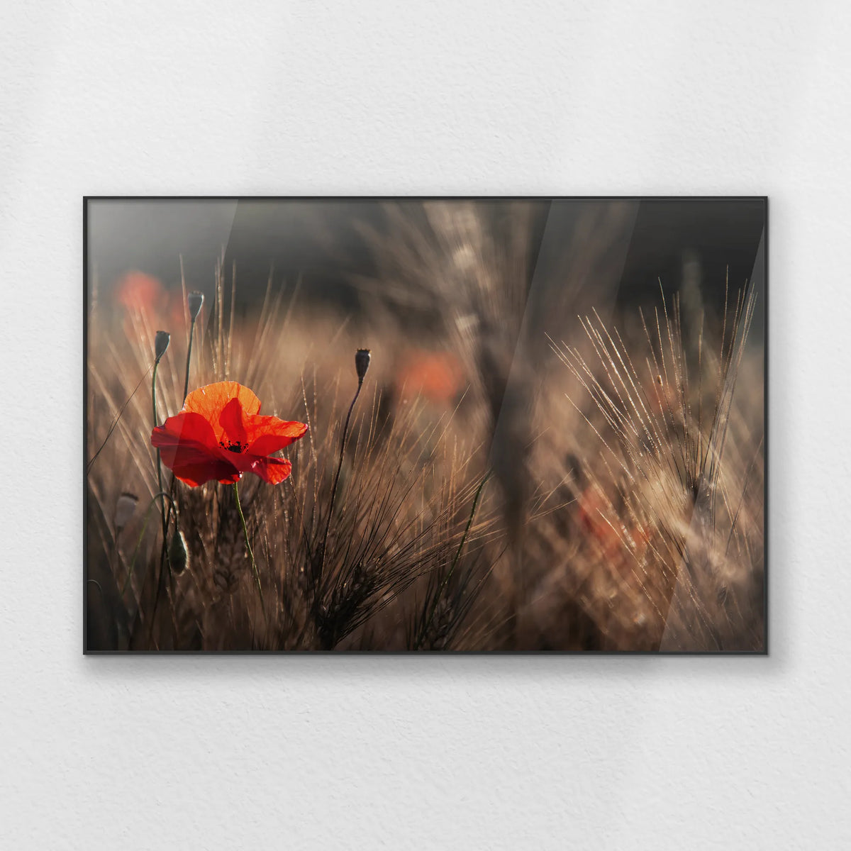 PB-120W080