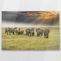 AC-045W030