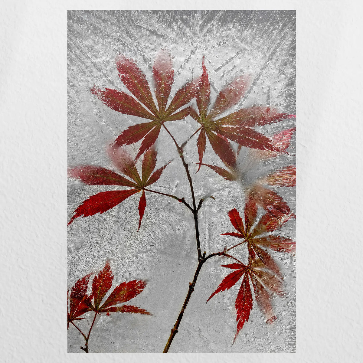 PO-050W075